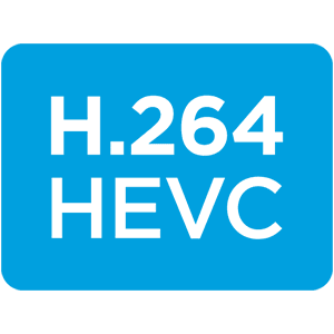 H.264 & HEVC Codecs