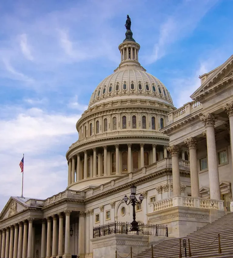 Government Video Solutions