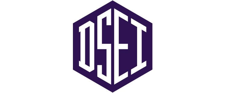 DSEI