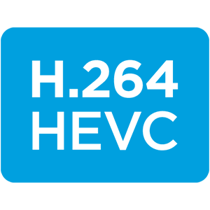 H.264 & HEVC Codecs