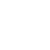 Simulated Live Simulated Live Icon